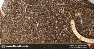 جمع_بندی-و-توصیه-پایانی