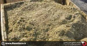 مقدمه_ای-بر-سوفاله-برنجی